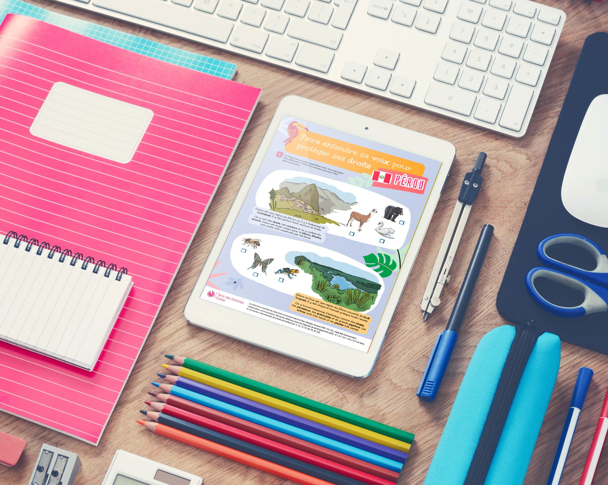 terre-des-hommes-interactif-pedagogie-nd-creation-visuelle