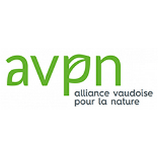 AVPN