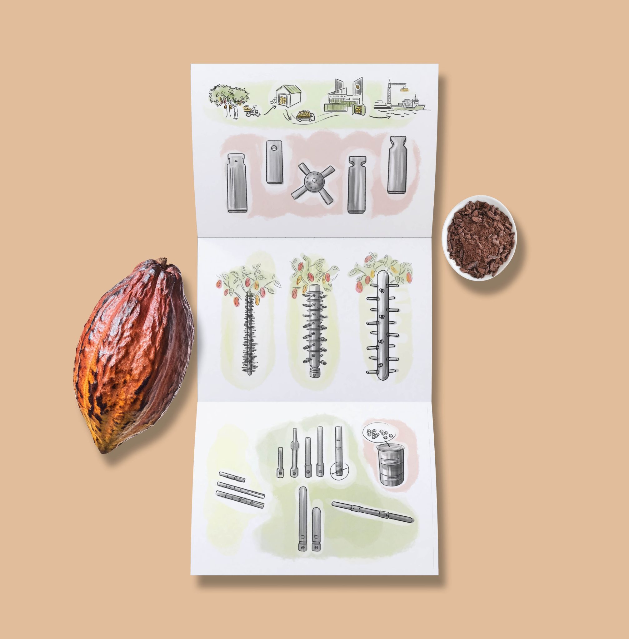 cacao-illustration-nd-creation-visuelle